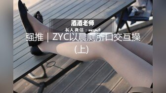 强推｜ZYC以晨厕所口交互操(上) 