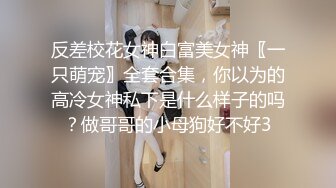 反差校花女神白富美女神〖一只萌宠〗全套合集，你以为的高冷女神私下是什么样子的吗？做哥哥的小母狗好不好3