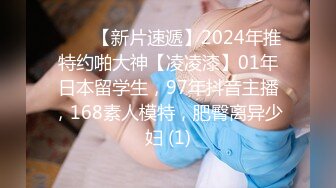 ♈♈♈【新片速遞】2024年推特约啪大神【凌凌漆】01年日本留学生，97年抖音主播，168素人模特，肥臀离异少妇 (1)