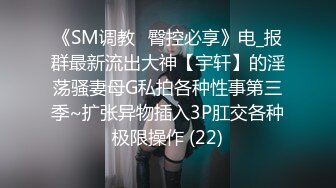 《SM调教✅臀控必享》电_报群最新流出大神【宇轩】的淫荡骚妻母G私拍各种性事第三季~扩张异物插入3P肛交各种极限操作 (22)