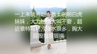 STP23795 椰子那么大的奶子见过没  丰满巨乳网红型口罩小妹  掏出奶子揉捏晃动  乳晕也超大  掰穴特写肥逼道具