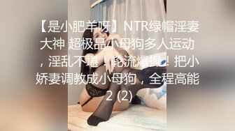 【是小肥羊呀】NTR绿帽淫妻大神 超极品小母狗多人运动，淫乱不堪！轮流爆操！把小娇妻调教成小母狗，全程高能 2 (2)