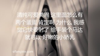 巨乳精靈母娘催眠 2