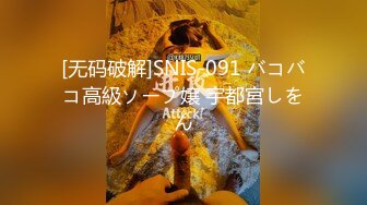 一米八的大梨子 - 女仆拓展包