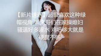 白鹿你的旗袍装小秘书