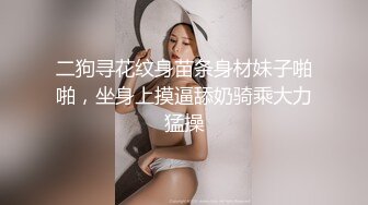 二狗寻花纹身苗条身材妹子啪啪，坐身上摸逼舔奶骑乘大力猛操