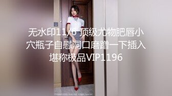 可爱的小兔子3