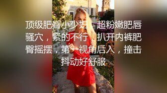 餐厅女厕偷窥米老鼠外套的美女B毛非常的浓郁抽着烟尿着尿