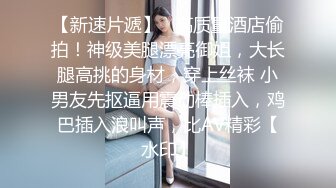 上海女友镜子前后入，微露脸