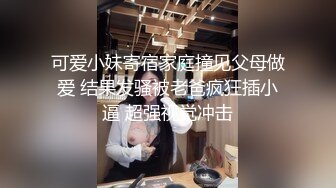 无水印11/23 女神级气质美女白皙嫩穴拉珠假屌双洞齐开跳蛋震穴好骚VIP1196