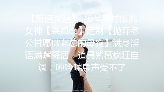 偷情极品美少妇