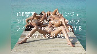 (18禁アニメ) ストリンジェンド ～エンジェルたちのプライベートレッスン～ MY BLOW JOBER ACT.7