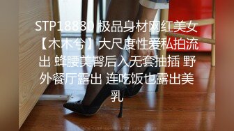 STP18880 极品身材网红美女【木木兮】大尺度性爱私拍流出 蜂腰美臀后入无套抽插 野外餐厅露出 连吃饭也露出美乳