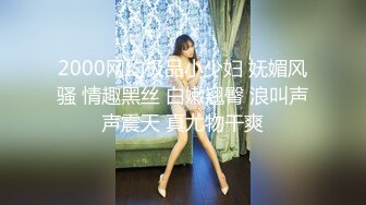 2000网约极品小少妇 妩媚风骚 情趣黑丝 白嫩翘臀 浪叫声声震天 真尤物干爽