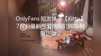 国产麻豆AV MKY MKYHS003 催情民宿 苏清歌