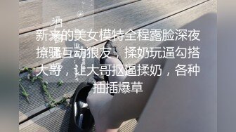 【AI换脸视频】佟丽娅  你的黑丝女友