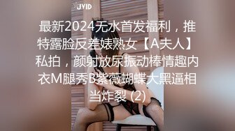 最新2024无水首发福利，推特露脸反差婊熟女【A夫人】私拍，颜射放尿振动棒情趣内衣M腿秀B紫薇蝴蝶大黑逼相当炸裂 (2)