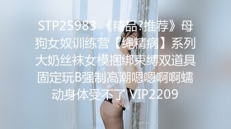 女仆后续2