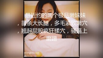 [2DF2]《探花刘先生》舞厅搭讪认识的两个无业少妇酒店开房玩双飞 [BT种子]