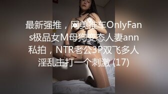 麻豆传媒 Pussy Hunter PS016 保时捷美女修车记