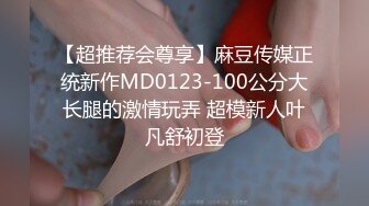 【超推荐会尊享】麻豆传媒正统新作MD0123-100公分大长腿的激情玩弄 超模新人叶凡舒初登