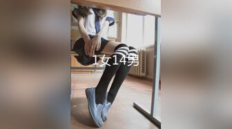 【新片速遞】 【经典厕拍】商场女厕全景后拍多位年轻的小姐姐❤️各种大屁股应接不暇