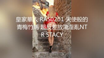 新来的女仆（2）