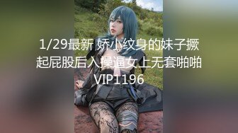 9/29最新 素人访谈居然少妇初下海一流口技人妻用手撸口活VIP1196