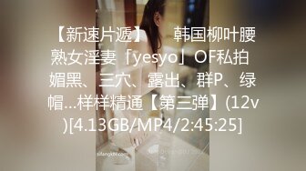 【新速片遞】   ✨韩国柳叶腰熟女淫妻「yesyo」OF私拍 媚黑、三穴、露出、群P、绿帽…样样精通【第三弹】(12v)[4.13GB/MP4/2:45:25]