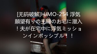 [无码破解]HJMO-254 浮気願望有りの主婦のお宅に潜入！夫が在宅中に浮気ミッションインポッシブル！！