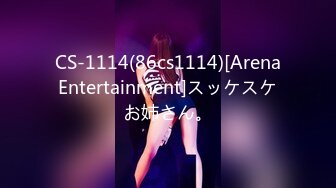 CS-1114(86cs1114)[ArenaEntertainment]スッケスケお姉さん。